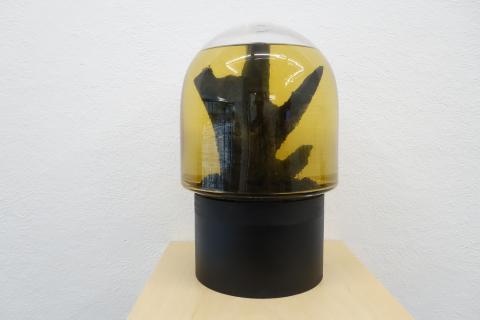 fortune teller træ