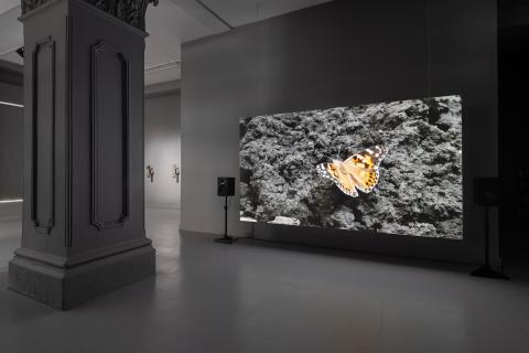 Particles_Jed Niezgoda ormston house 5