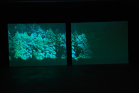 Vejle kunstmuseum