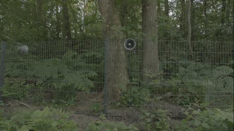 ved hegnet