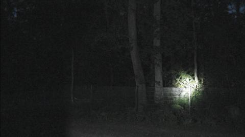 ved hegnet