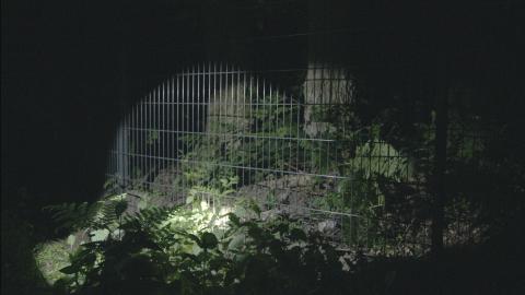 ved hegnet