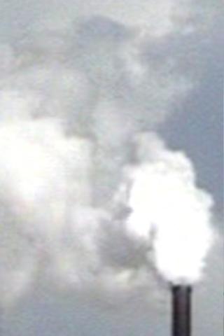 white column