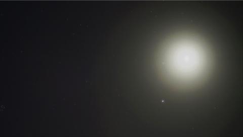 facing the dark moon
