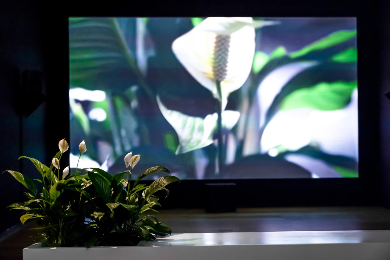 camp kitchen Kina 3